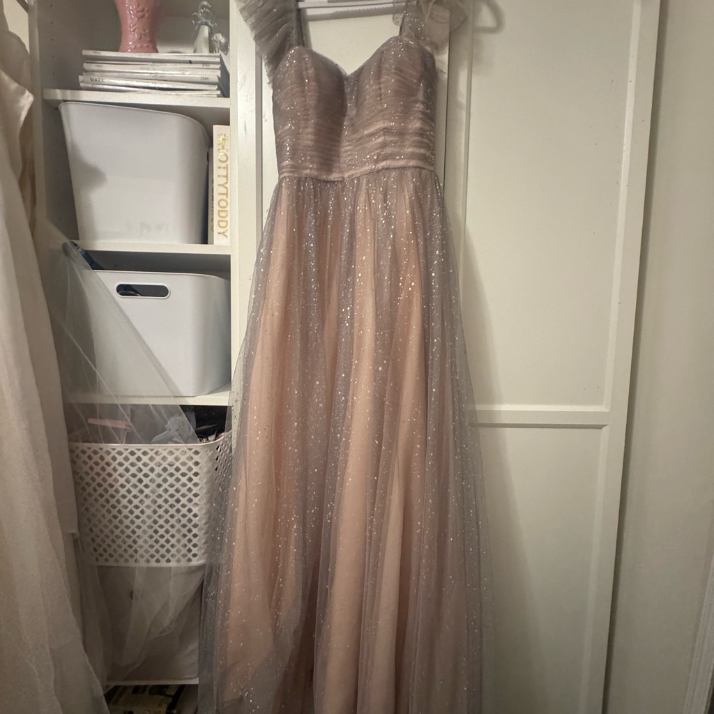 Black Label Glittering Gray Dress: Perfect For Any Occasion